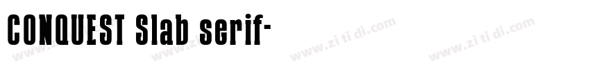 CONQUEST Slab serif字体转换